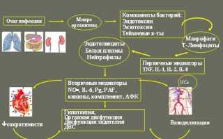 Код по мкб септицемия