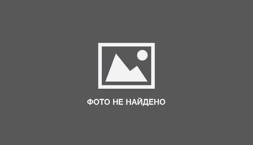 причины возникновения воспаления уха отит у животных