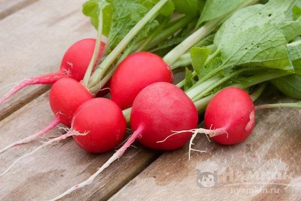 Можно ли при подагре кушать цветную капусту