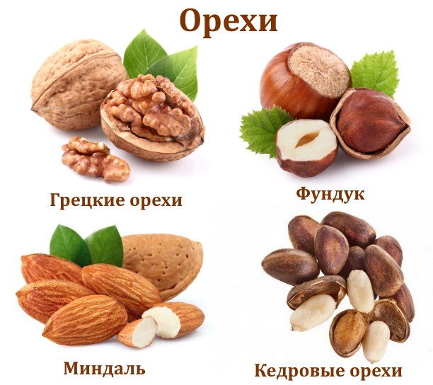 Разрешенные орехи при подагре Разрешенные орехи при подагре