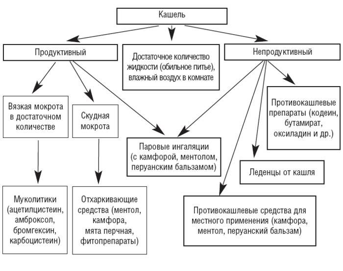 Разновидности кашля