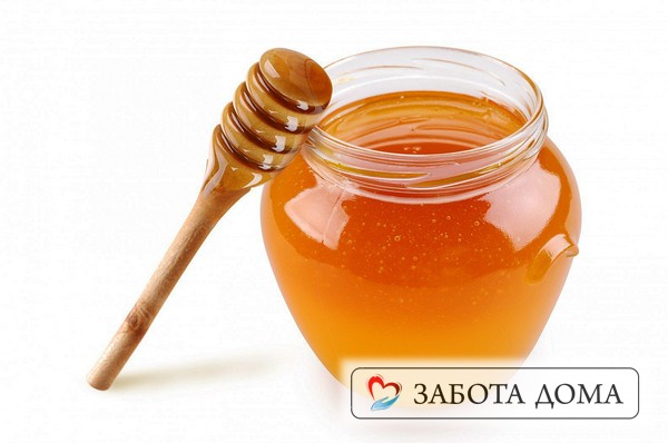 Измельченный свежий картофель и мёд следует смешать в соотношении 1:1. Мед от пролежней