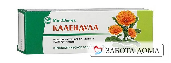 Сухие цветы (столовую ложку с горкой) измельчить и перемешать с вазелином, 50 грамм. Мазь календулы от пролежней