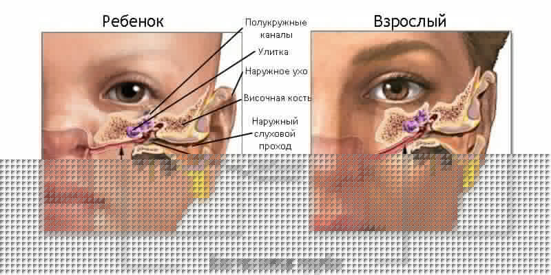 евстахиева труба