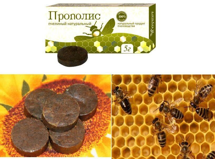 Прополис Прополис