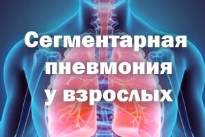 Легкие