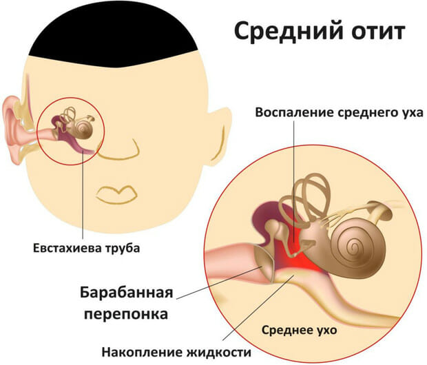 средний